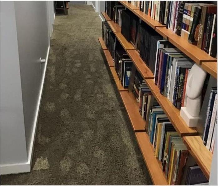Footprints on wet carpet and a full bookshelf