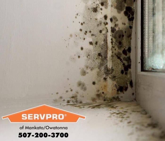 A mold outbreak is shown in a corner of a room